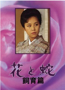 唐探1900电影免费观看